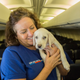 Illustration for article titled 64 Lucky Shelter Animals Got Flown Out Of Texas After Hurricane Harvey